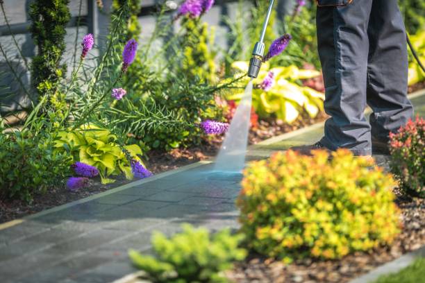 Best Gutter Cleaning  in Whitesboro, NY
